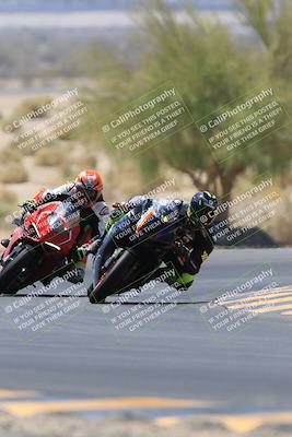 media/May-14-2023-SoCal Trackdays (Sun) [[024eb53b40]]/Turn 5 Tree of Life (1125am)/